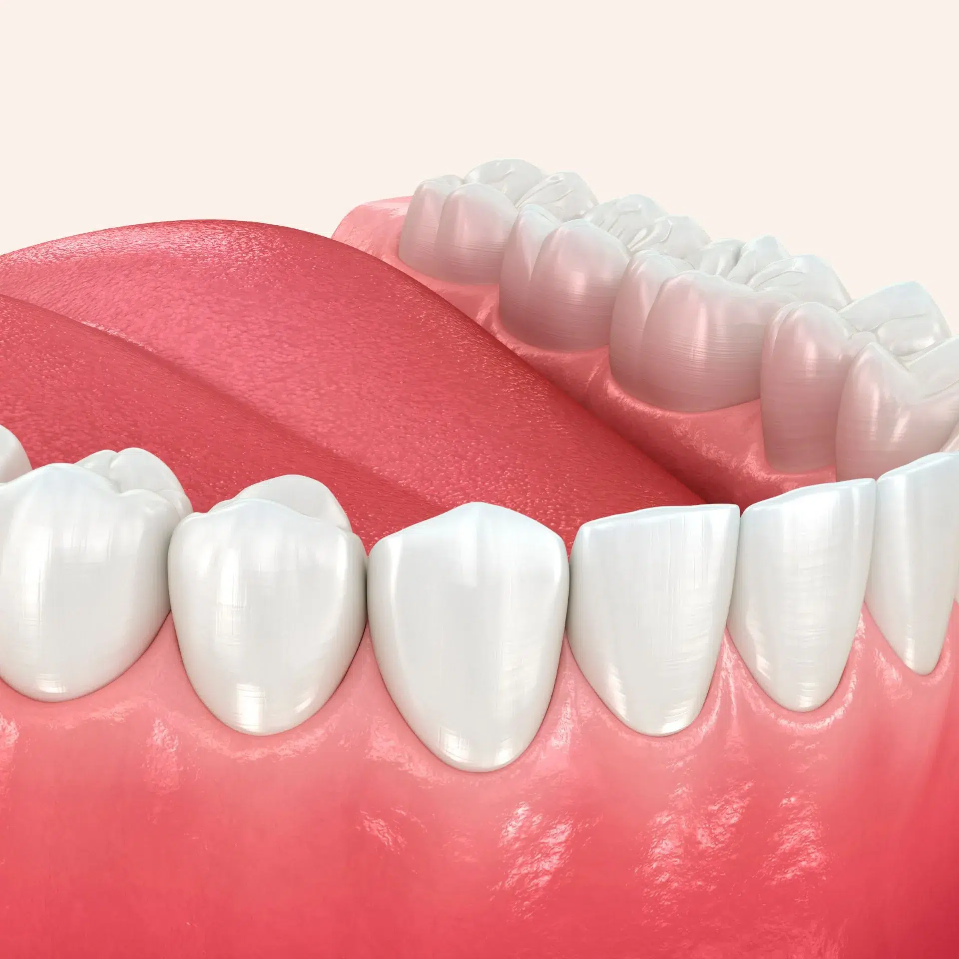 Dental model of lower jaw used for general dentistry education at Loudoun Family & Cosmetic Dentistry in Leesburg, VA